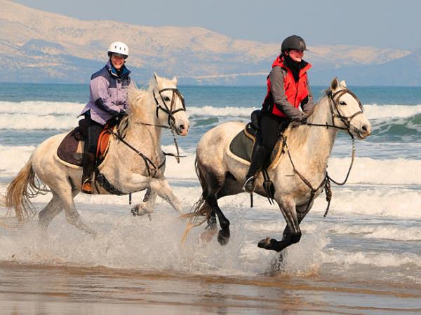 Catalonia horse riding, Pyrenees to the Mediterranean