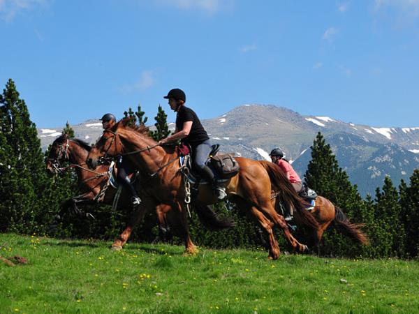Catalonia horse riding, Pyrenees to the Mediterranean