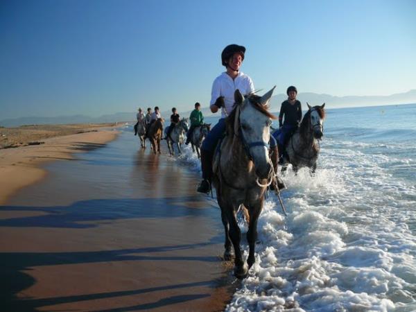 Catalonia horse riding, Pyrenees to the Mediterranean