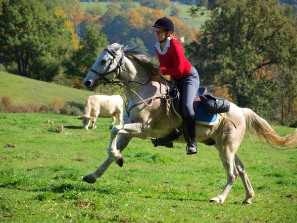 Catalonia horse riding, Pyrenees to the Mediterranean