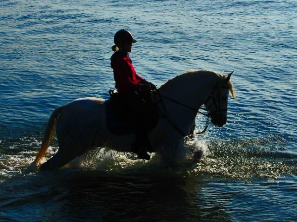 Catalonia horse riding, Pyrenees to the Mediterranean