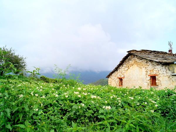 Cultural and rural experience in Himalayan Kumaon valley