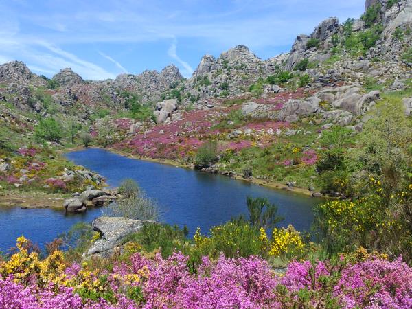 North Portugal eco lodge accommodation