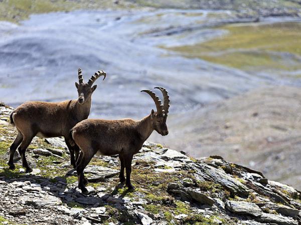 Spiti Valley tour in India