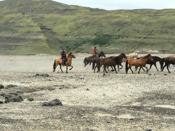 Horse riding holiday in Iceland