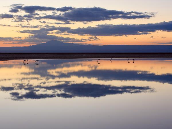 Atacama Desert self drive holiday in Chile