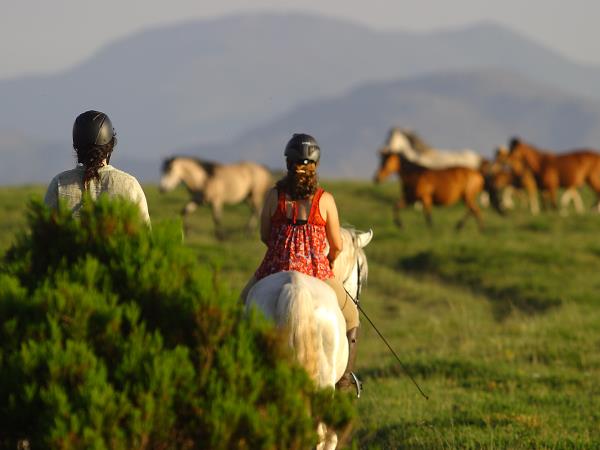 North Portugal horse riding holiday