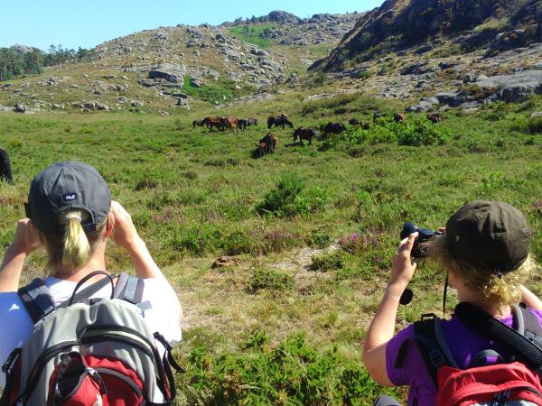 Northern Portugal guided walking holiday