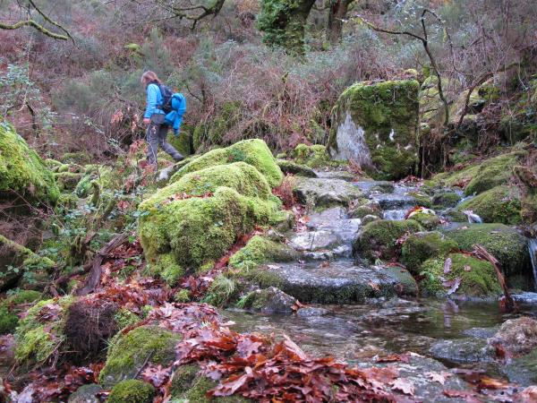 Northern Portugal guided walking holiday