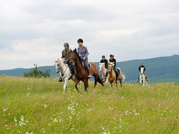 Horse riding holiday in Romania