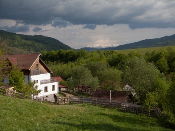 Horse riding holiday in Romania