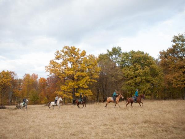Horse riding holiday in Romania