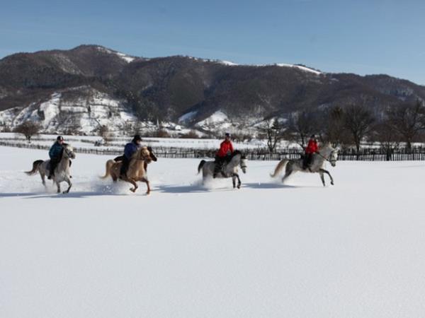 Horse riding holiday in Romania