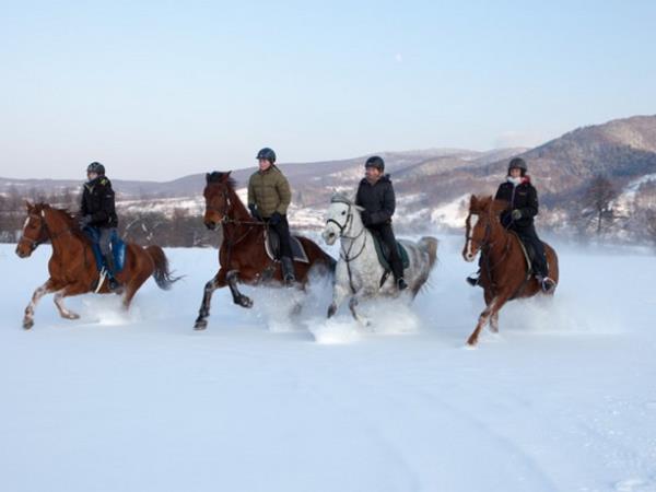 Horse riding holiday in Romania