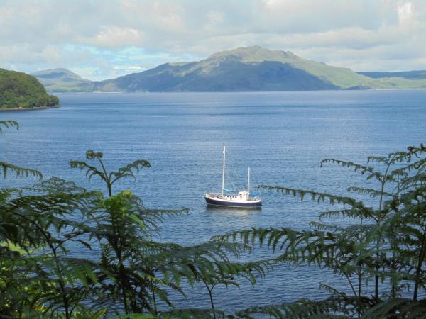 Inner Hebrides wildlife cruise