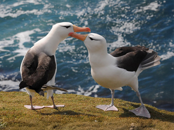 responsible travel falklands