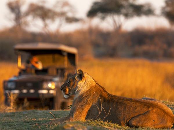 Luxury Botswana safari & Victoria Falls