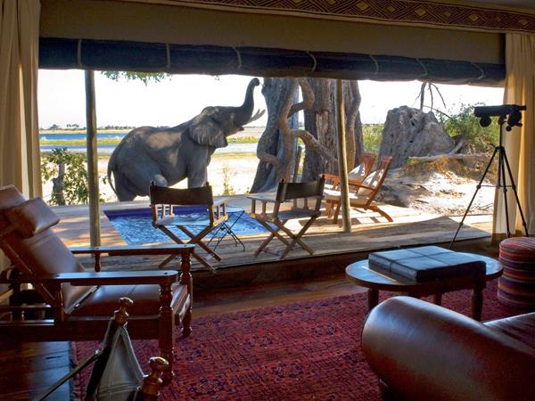 Luxury Botswana safari & Victoria Falls