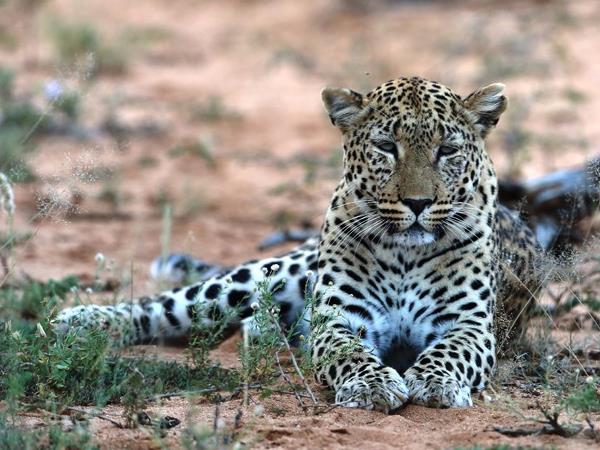 Zimbabwe & Botswana self drive holiday