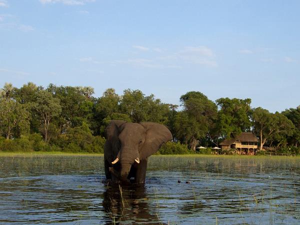 Zimbabwe & Botswana self drive holiday