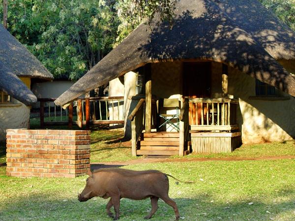 Zimbabwe & Botswana self drive holiday