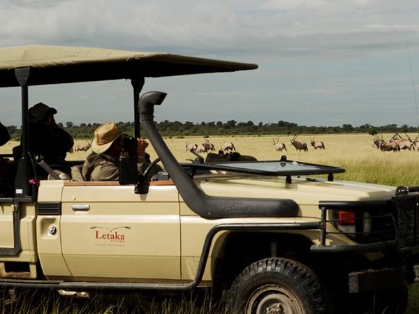 Botswana safari, lodges and mobile camps