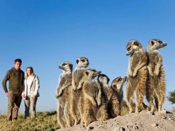 Botswana family adventure