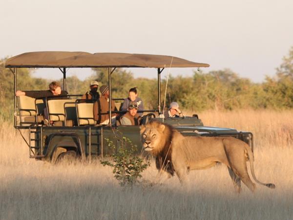 Best of Botswana and Zimbabwe
