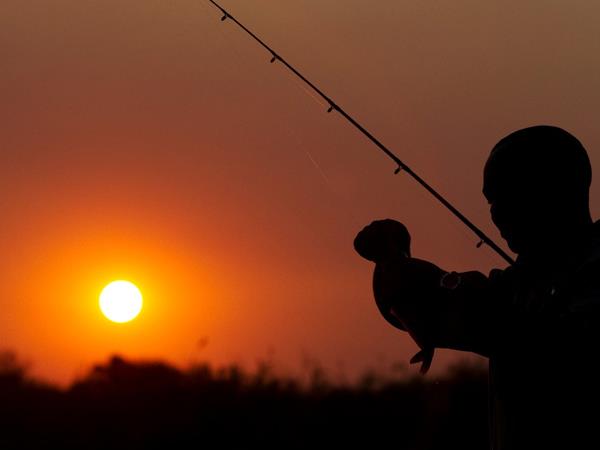 Best of Botswana and Zimbabwe