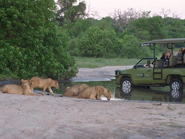 Zimbabwe & Botswana safari, tailor made