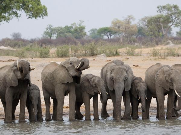 Zimbabwe & Botswana safari, tailor made