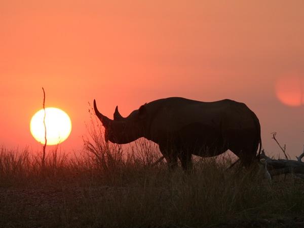 Zimbabwe wildlife holidays