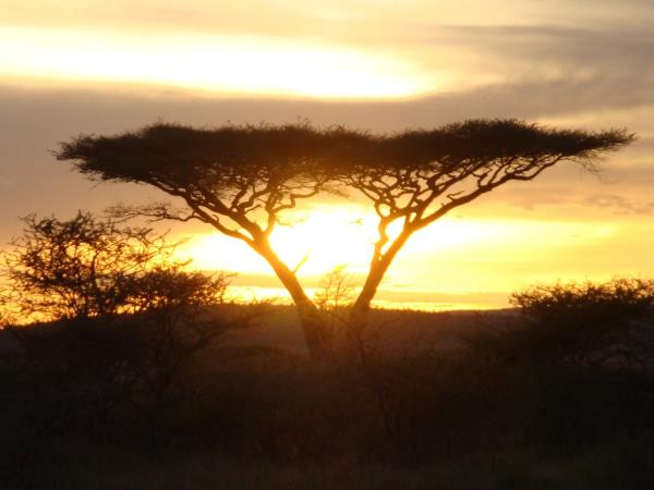 Classic Tanzania safari and beach holiday