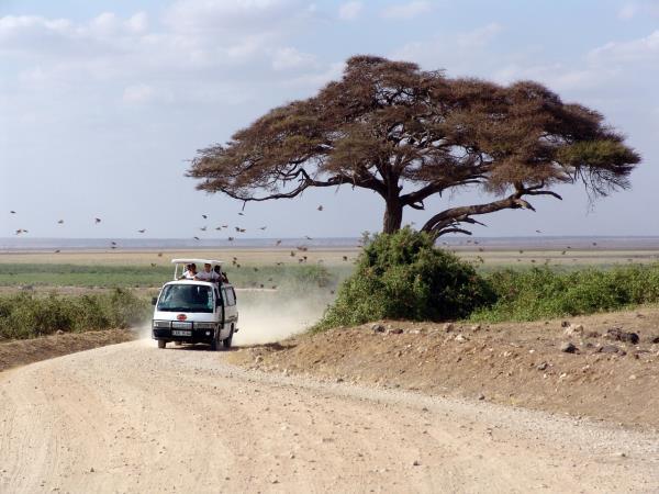 Classic Tanzania safari and beach holiday