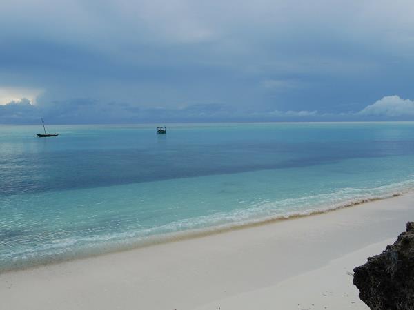 Classic Tanzania safari and beach holiday