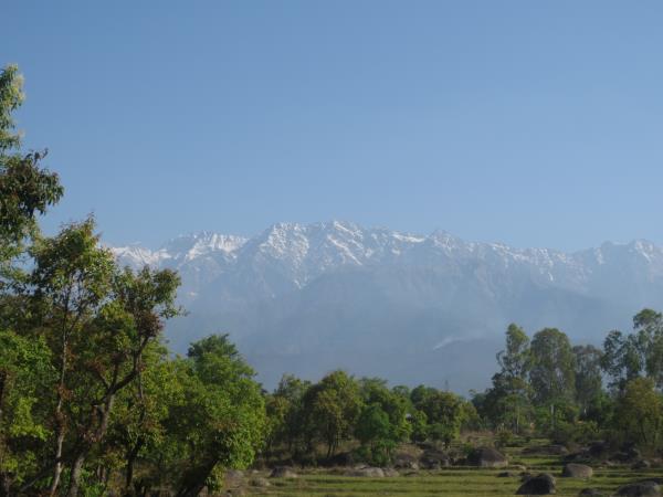 Medical internship in the Himalayas, India