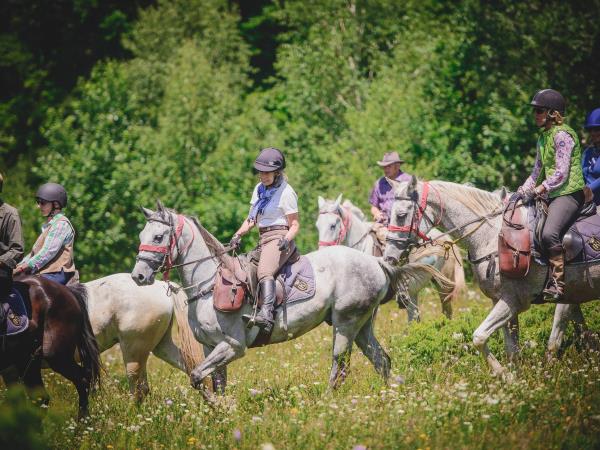Horse riding holidays in Transylvania