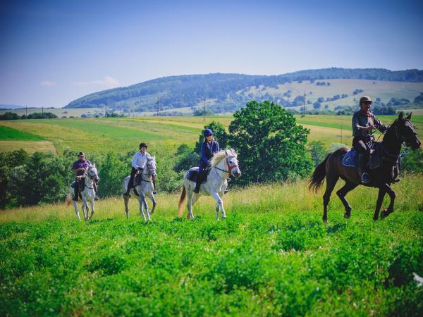 Horse riding holidays in Transylvania