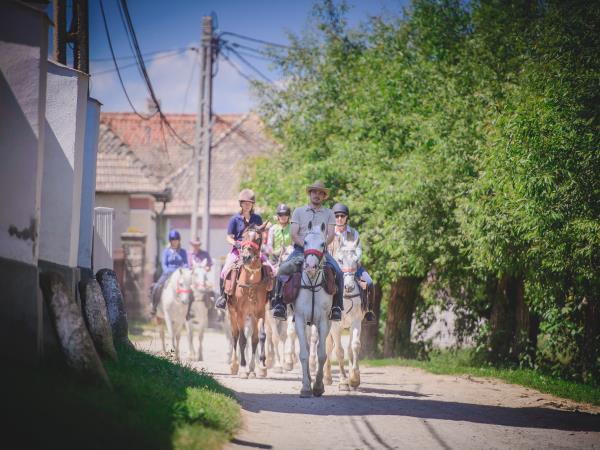 Horse riding holidays in Transylvania