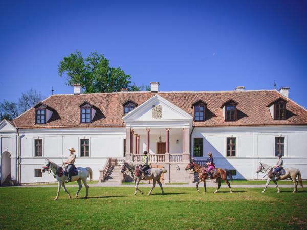Horse riding holidays in Transylvania