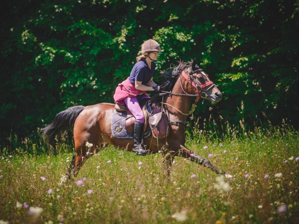 Horse riding holidays in Transylvania
