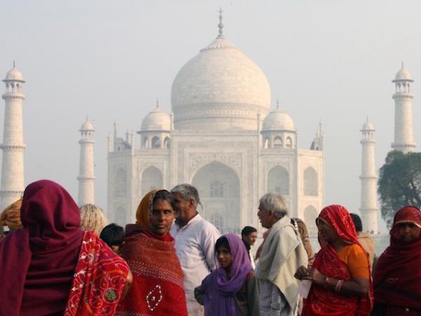 India tiger safari & Taj Mahal tour
