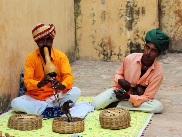 India tiger safari & Taj Mahal tour