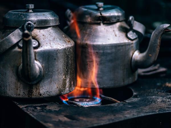 Taste of India culinary tour