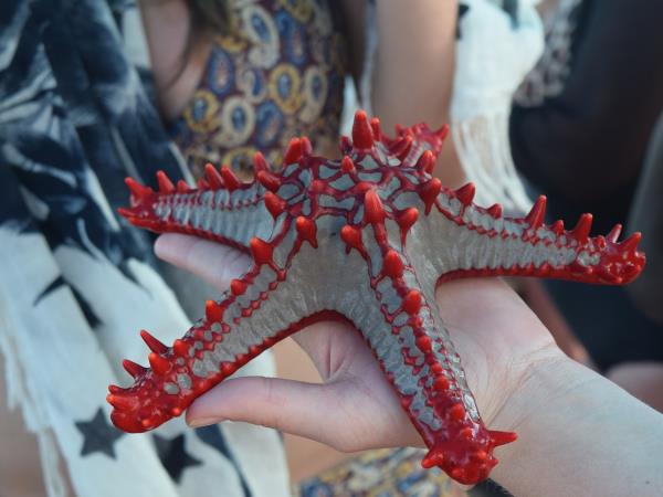 Zanzibar beach holiday