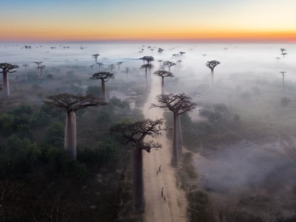Madagascar Photography holiday