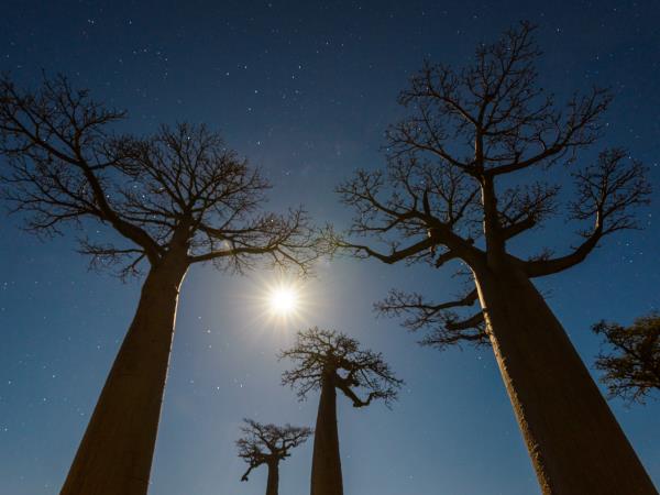 Madagascar Photography holiday