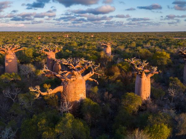 Madagascar Photography holiday