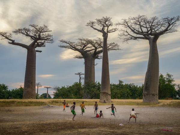 Madagascar Photography holiday