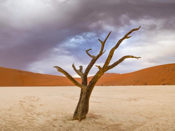 Namibia photography holiday